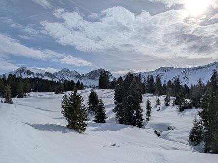 Fotografija s spletne strani mtmc na poti