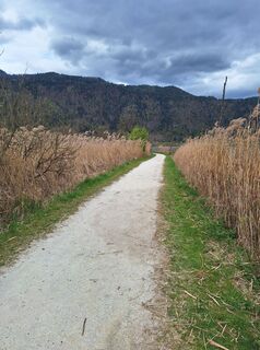 Fotografie de la Dagmar Hofer de-a lungul turului