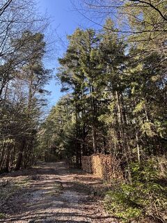 Foto de RS76 a lo largo del recorrido