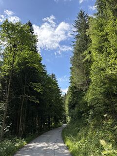 Foto von Tamás Ónodi entlang der Tour