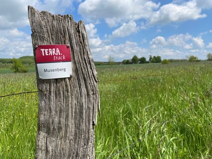 TERRA.track Musenberg