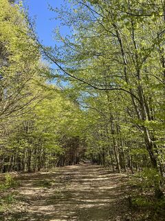 Foto de Gerlinde Hofer a lo largo del recorrido