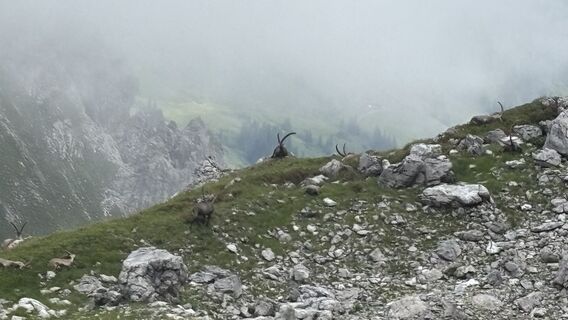 Photo de Johnito Montañas le long du parcours