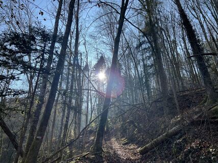 Fotografie de la Werner Pletscher de-a lungul turului