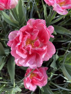 Fotografie de la Silvia Hollenstein de-a lungul turului