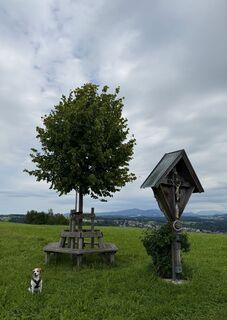 Foto de Barbara Schober a lo largo del recorrido