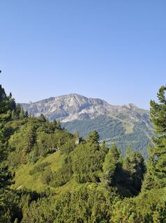 Photo de A H Gerhardter le long du parcours