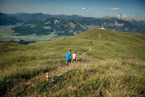 Entlang von Almweiden am Horn-Gipfel-Höhenweg