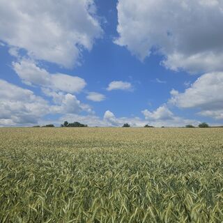 Fotografie z Marija Minkin 1 na trase
