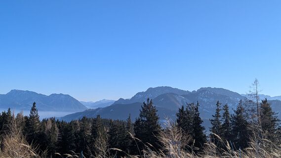 Foto von Ziegler Em1304 entlang der Tour