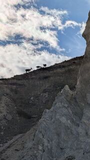 Foto von Brian Koster entlang der Tour