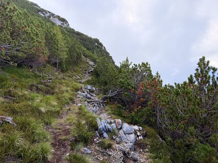 Foto von Dr. Rike Maurer entlang der Tour