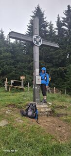 Foto von Wanderbiene entlang der Tour