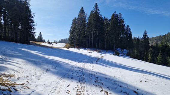 Foto de Ernst Brezina a lo largo del recorrido