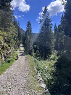 Foto de michael maes a lo largo del recorrido
