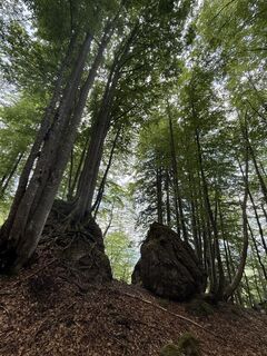 Photo de Renate Spitzl le long du parcours