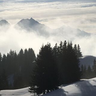 Blick Richtung Albulatal