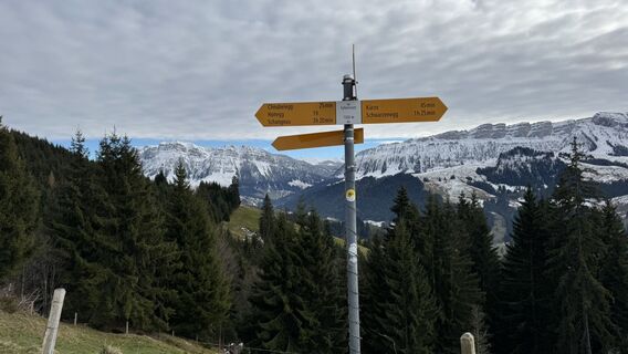 Fotografija s spletne strani peter_oe na poti