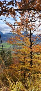 Fotografia z Buchegger Barbara na trase