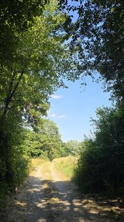 Foto von Hieu Duc Tram entlang der Tour