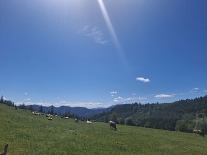 Foto von Eurelia entlang der Tour