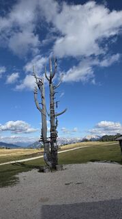 Foto da V Feurstein lungo il tour