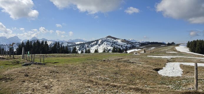Foto von Sandra Kretzschmar entlang der Tour