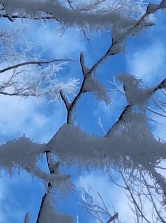 Foto von Mimi entlang der Tour