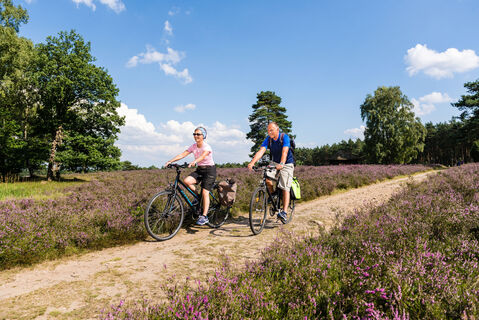 Lüneburger Heide