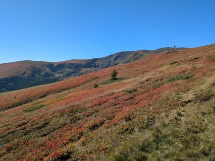 Fotografie z Lisi Krainer na trase