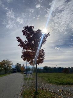 Zdjęcie z Sven Krieblin wzdłuż trasy