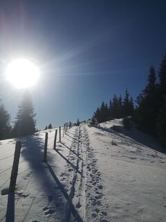 Foto von Ric Hard entlang der Tour