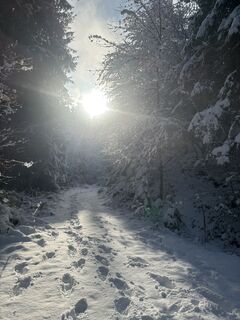 Photo de Christian Mattersdorfer le long du parcours