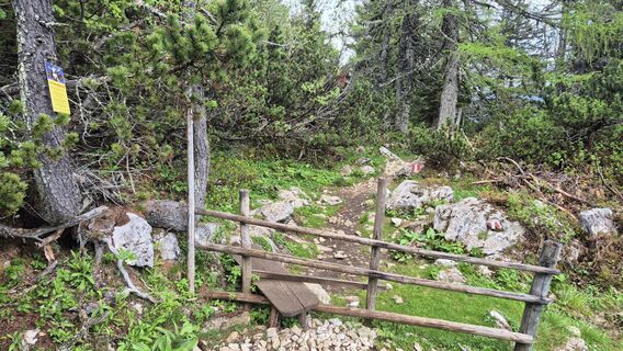 Fotografia z Matthias Werner na trase