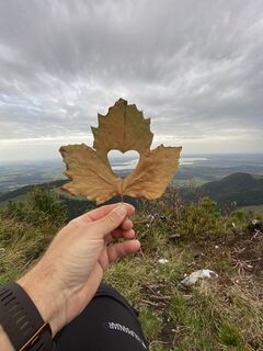 Fotografia z Sven Krieblin na trase