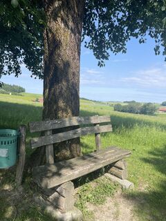 Foto de Doris Treiblmayr a lo largo del recorrido