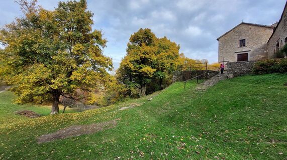 Fotografija s spletne strani Marco pizziolo na poti