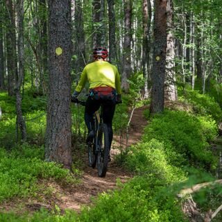 Neulaspolkua