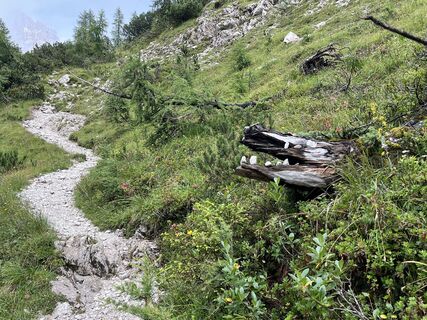 Fotografia z Stefan Otto na trase
