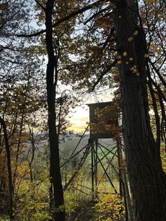 Fotografia z RS76 na trase