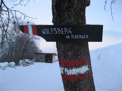 Mit Schneeschuhen zur Koralpe