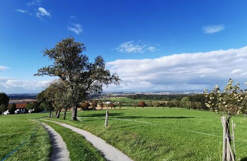 Spurweg Wiesenreith