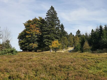 Fotografie z Milde na trase