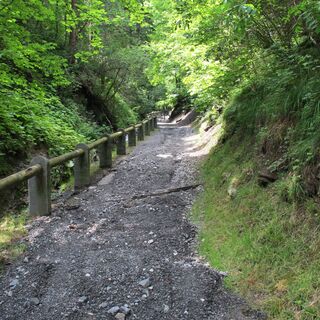 Spazierweg in Hirschegg