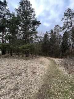 Fotografie z Max Weith na trase