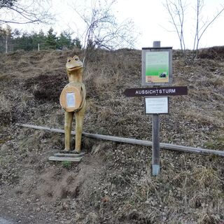 Frosch