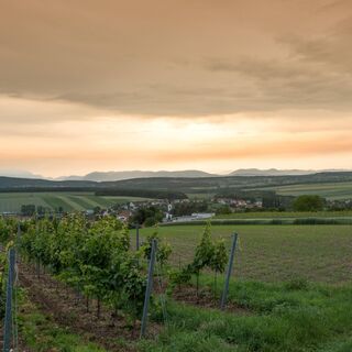 Sonnenuntergang Sigleß Weingärten