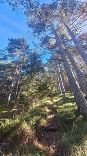 Fotografie de la Regina Fleischmann de-a lungul turului