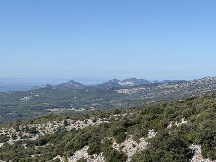 Zdjęcie z Grizzli wzdłuż trasy