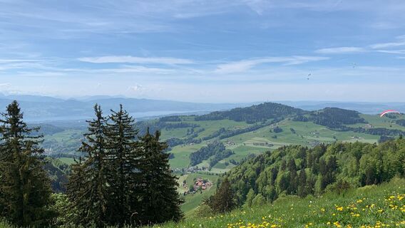 Foto von Mark entlang der Tour